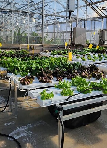 Screenshot_20250915-074937