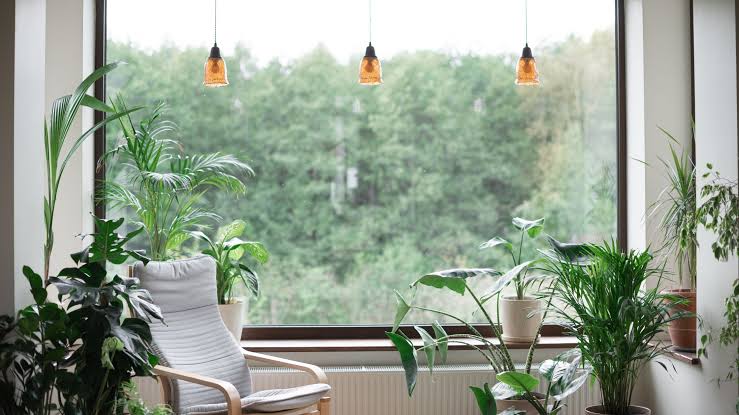 images - 2025-09-15T152058.515