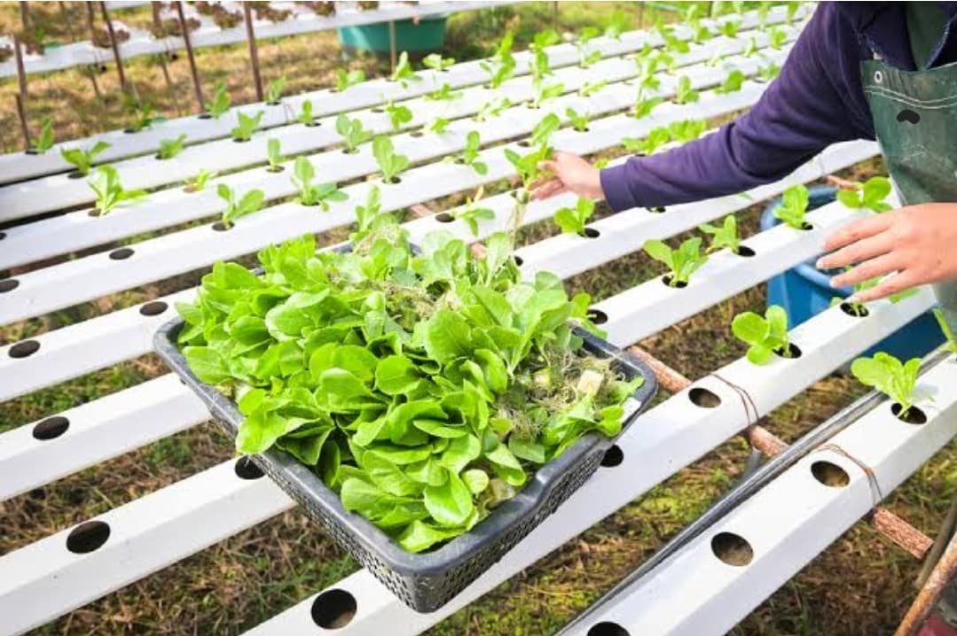 Screenshot_20250915-075003