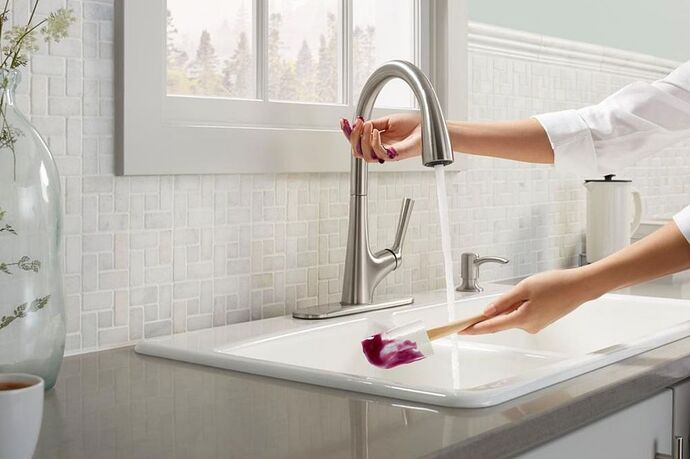 The_Best_Kitchen_Sinks