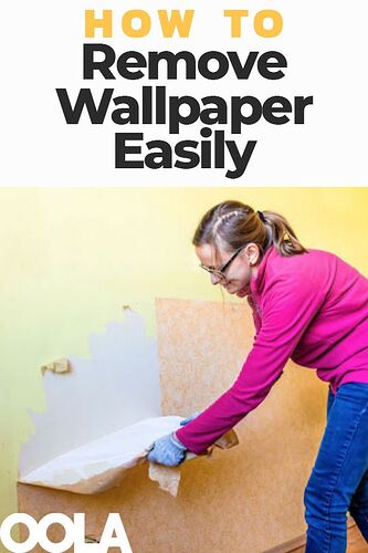 11 Essential Things You Should Be Taking to the…