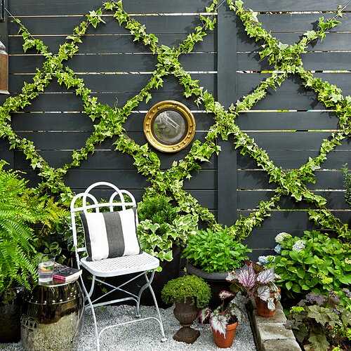 small-garden-ideas-lattice-wall-1614022264