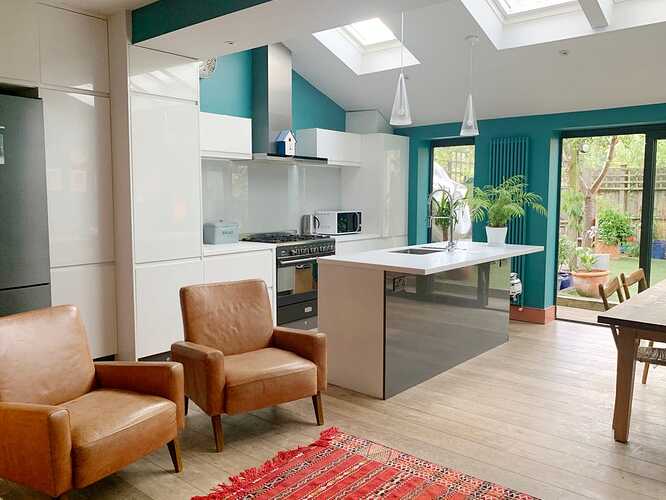 before-pluck-edwardian-house-southeast-london-677bf8ada8b32