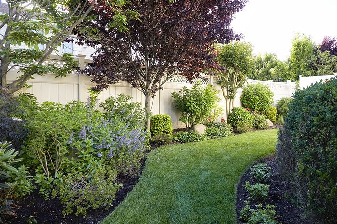 lawn-trees-and-flowers-in-backyard-royalty-free-image-1744733461.pjpeg