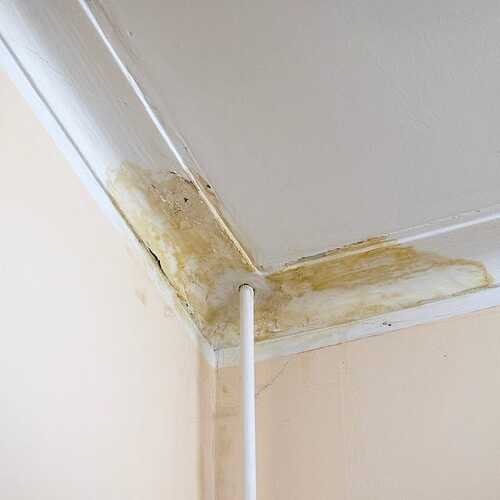 flooding-rainwater-causing-damage-peeling-paint-and-royalty-free-image-1733416976