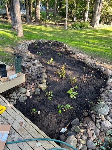 my-backyard-renovation-v0-0av6s6hudxvd1