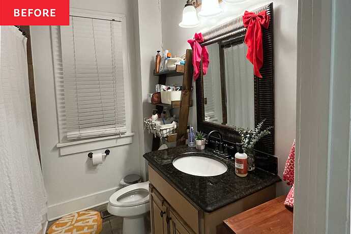 at_home-projects_2025_2025-05_brenna-l-bathroom_brenna-l-bathroom-before-lead