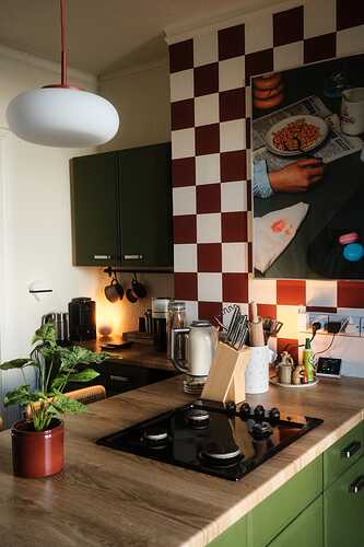 rental-friendly-kitchen-renovation-jpg-67cf4edaeb166